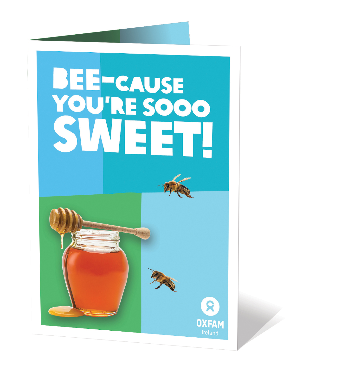 Oxfam Honeybees Gift image