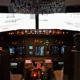Flight Simulator