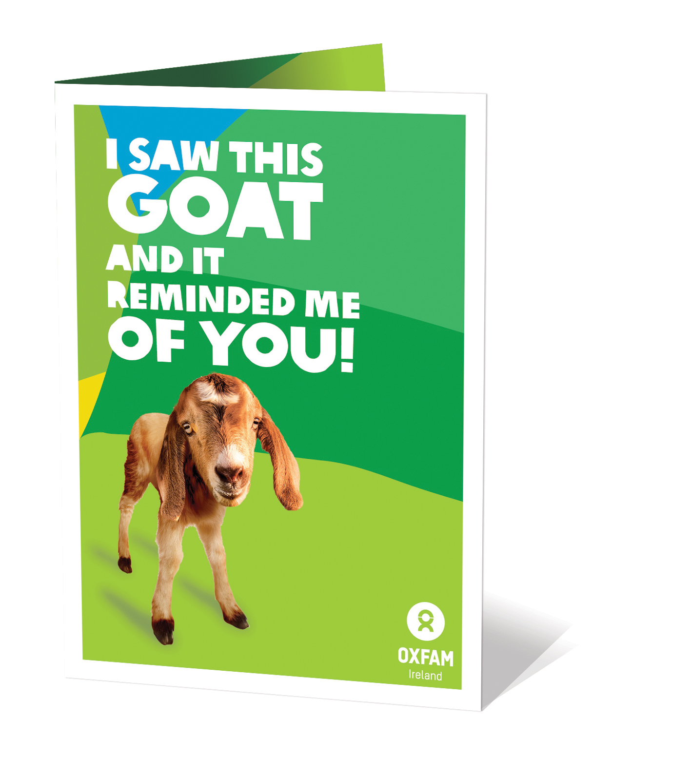 Oxfam Gift of a Goat image