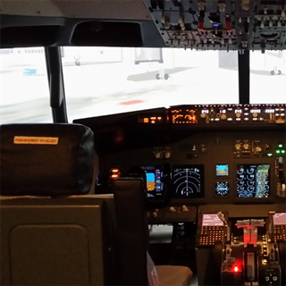 Flight Simulator