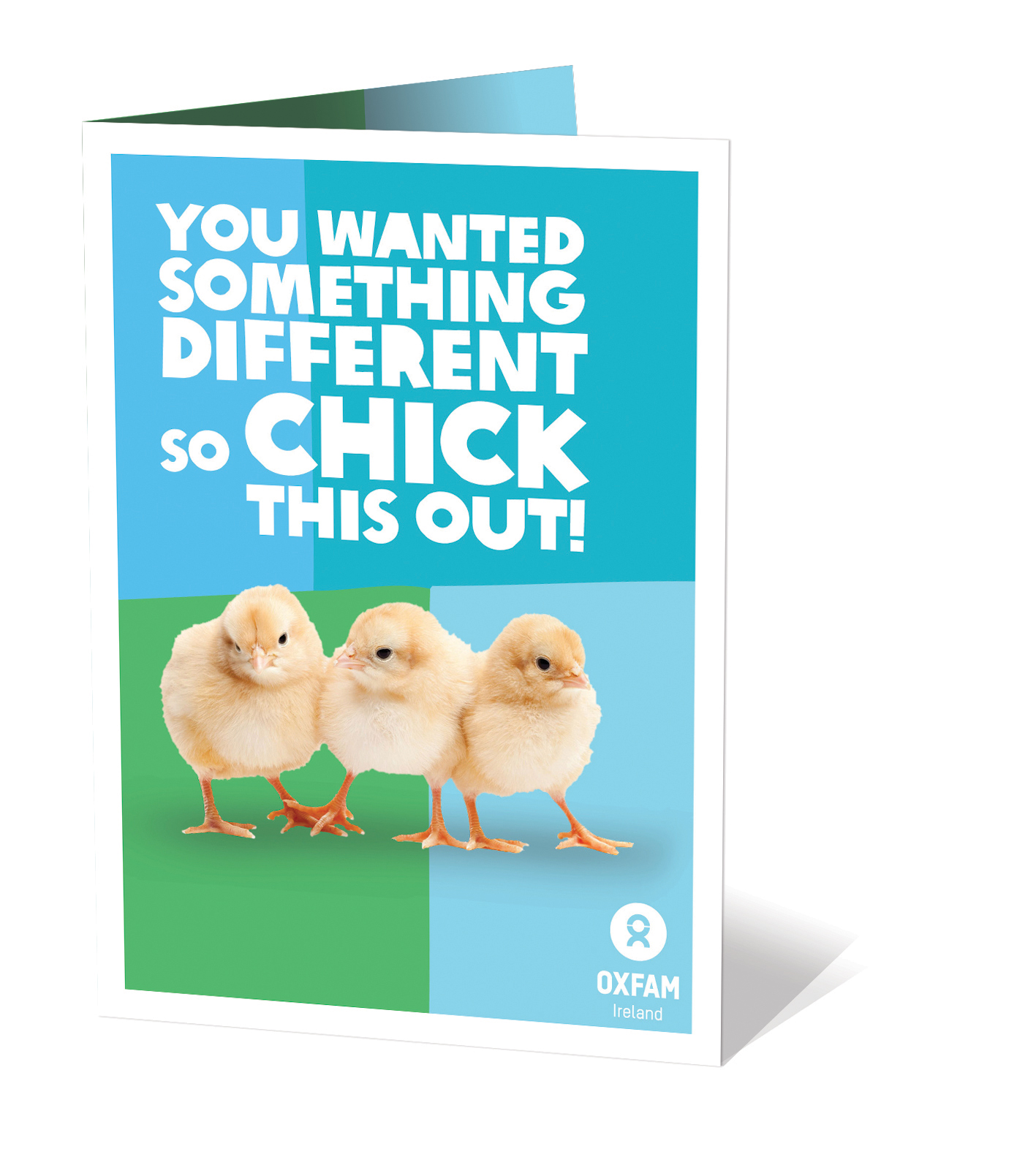 Oxfam Clutch of Chicks Gift image