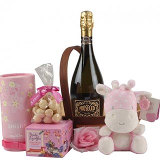 New Baby Girl Gift Hamper image