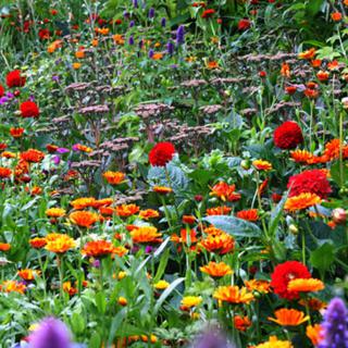 €260 Gardening Lesson Gift Voucher image