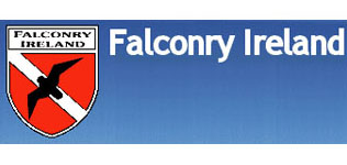 Falconry Ireland image
