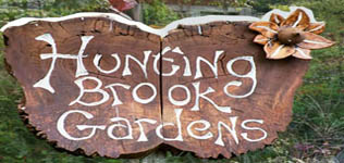 Hunting Brook Gardens image
