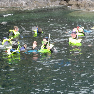 Family Half Day Snorkelling image