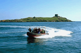 Dublin Bay - 2 Dives in 1 Day Incl. Equipment image