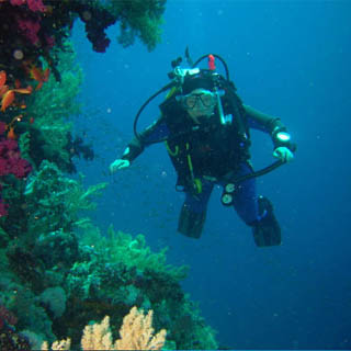 Scuba Diver 3-Week Beginners Course image