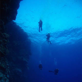 Open Water - 6-Week PADI Scuba Course for 2 People image