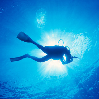 Discover Scuba Diving - Introductory Lesson image