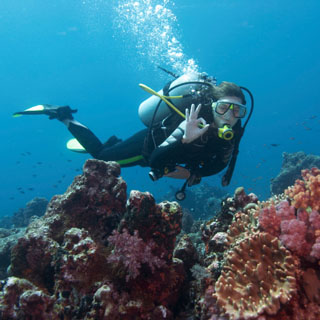 Open Water - Intensive 5-Day PADI Scuba Course image