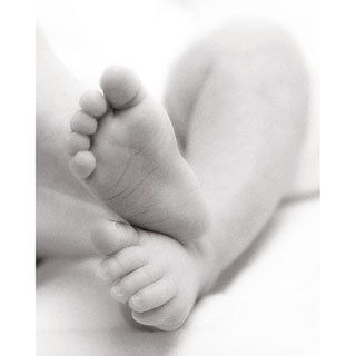 Newborn Triptych Portrait image