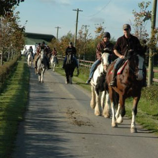 Horse Riding through Kildare Countrysidexxxq image
