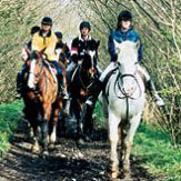 Horse Riding &amp; Trekking