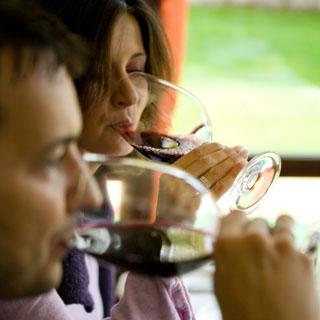 WSET Intermediate Certificate Online Wine Course image