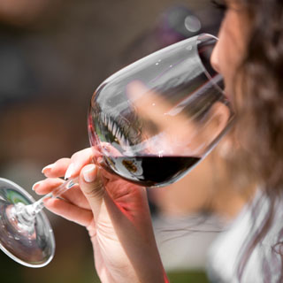 WSET Intermediate Certificate Course image