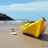 Sea Kayaking