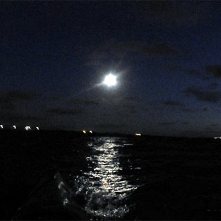 2-Hour Night Sea Kayak image