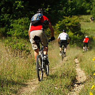 €100 Mountain Biking Gift Voucher image
